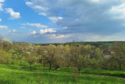 Moșia boierească din vârf de deal, Scorțeni - Prahova! - 17