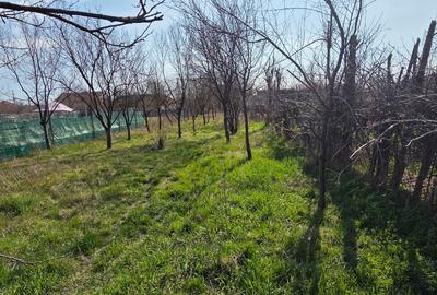 Teren 528 mp Bujac - între case, utilități la stradă - Proprietar - 1