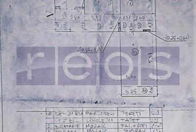 VANZARE 3 CAMERE DECOMANDAT PARTER  DRISTOR - 14