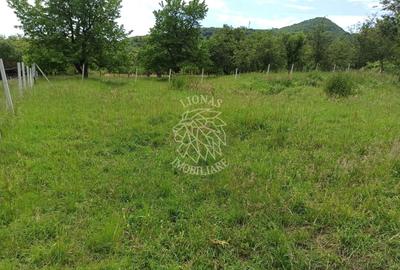 Teren agricol extravilan de 1000 mp, în Nord