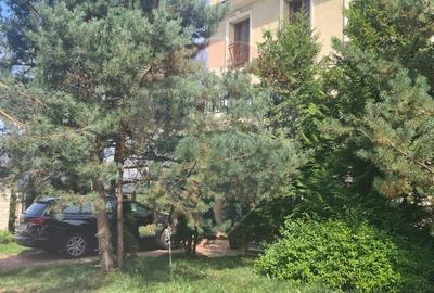 Teren intravilan Predeal-Strada Mihail Saulescu - 18