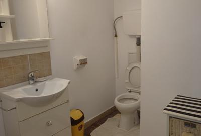 APARTAMENT 3 CAMERE DE INCHIRIAT UNIVERSITATE - COLTEA - 8