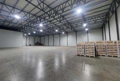 Platforma industriala cu 2 hale, aproape de centura - 5