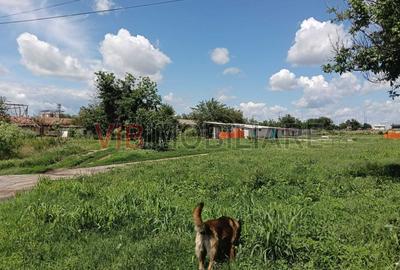 Afacere de vânzare: Fermă Creștere Pui – Ialomița la 60 km de București - 9