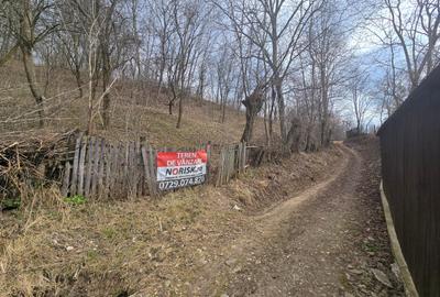 Oportunitate investitie teren  la munte, Prahova | 3.485 mp | View spectaculos - 6
