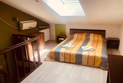 Apartament 2 camere Open Space, Alexandru cel Bun - 6