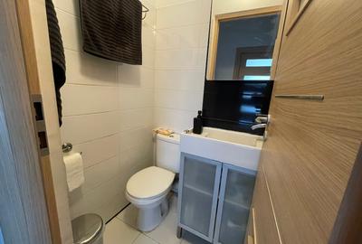 Apartament decomandat pe Ion Campineanu - 10