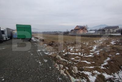 Teren Construcții intravilan de 3995 mp, în Nord-Est