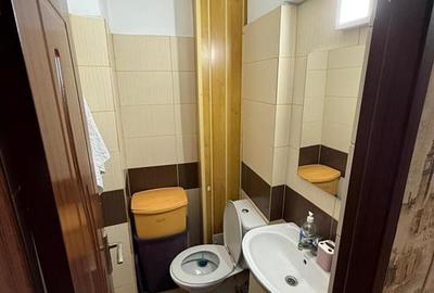 Apartament 3 camere D mobilat Zona Alpha Bank Păcurari - 10