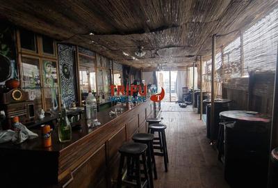 Spatiu comercial pentru restaurant, bar, club cu terasa si crama - 10