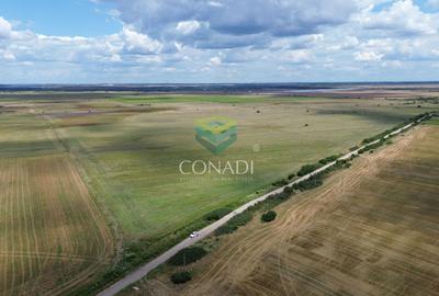 Teren agricol intravilan de 154000 mp, în Bulbucata