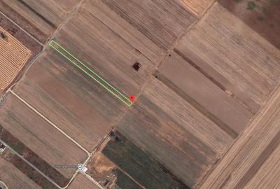 Teren agricol extravilan de 2585 mp, în Berceni