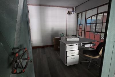 SPATIU COMERCIAL| 227 MP UTILI | ULTRACENTRAL| TERMEN LUNG| - 17