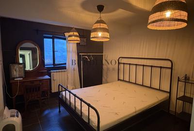 Apartament cu 2 camere in vila la demisol - Zona Kiseleff - 7