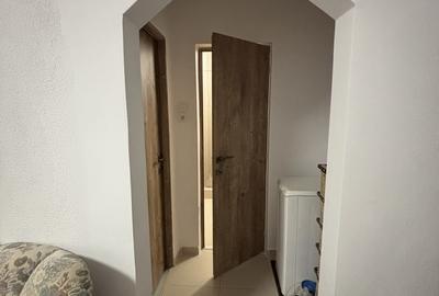 Apartament 2 CAMERE PARC IOR - 4