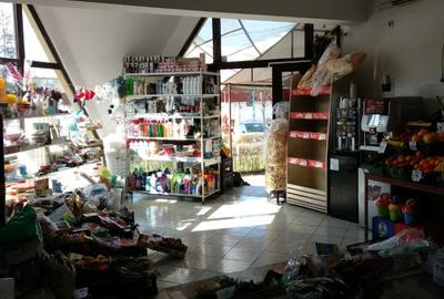 Spatiu Comercial 100 mp Triaj - 11