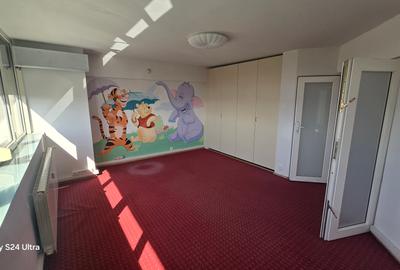 Duplex 5 camere | Splaiul Unirii | Vedere spre Mănăstirea Radu Vodă - 8