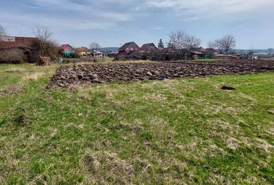 Teren 7000 mp,29euro mp.zona Libertății, Targu Mures, - 2