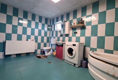 CASA DE VANZARE PODUL OLTULUI CU ACCES PRIVAT - 17
