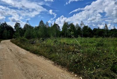 Cabana in mijlocul naturii/parau sezonier /locul de suflet la Sinca Noua/Brasov - 8