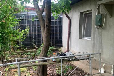 Voluntari/ Pipera  Vanzare  Case - 4