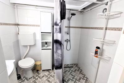 Apartament 2 camere la demisolul unei case,  zona Sub Arini - 8