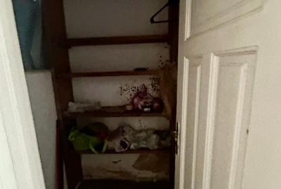 Vila individuala cu 4 camere, garaj in zona Floreasca- Barbu Vacarescu - 14