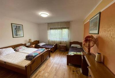310 mp-Vila, P+M si P+1E, Valea Budului, Bacau - 27
