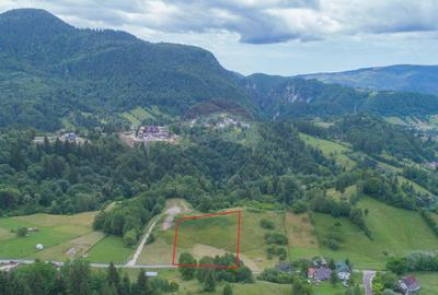 Teren2058mp Dambovicioara la poalele parcului National Piatra Craiului - 6