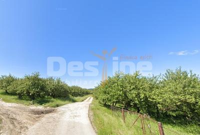 Teren agricol intravilan de 34485 mp, în Autogară