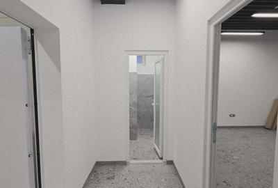 Hala/Showroom/Birouri de închiriat, str. Ogorului / cart. Grigorescu-H0031 - 18