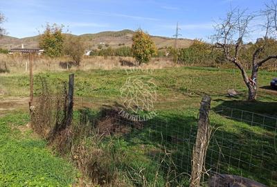 Casa 60 mp-teren 1044 mp-magazie, grajd, fanar-Teaca, 32km de Bistrita - 5