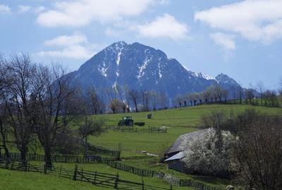 Teren agricol extravilan de 335000 mp, în Poiana Mărului