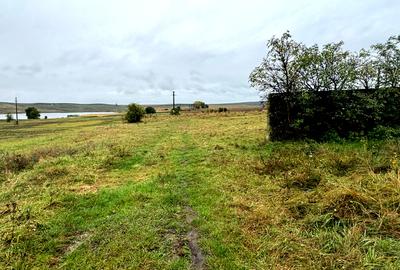 Vanzare 10.000 mp teren Liteni Suceava- la strada -potrivit proiect fonduri - 4