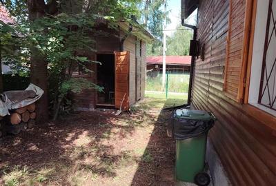 Casa de vacanta (Izvoru Muresului, str. Fazakas) - 18
