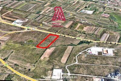 Teren Industrial & Logistic 28.985 mp -Pret: 17 €/m-DN1 - Selimbar! - 6