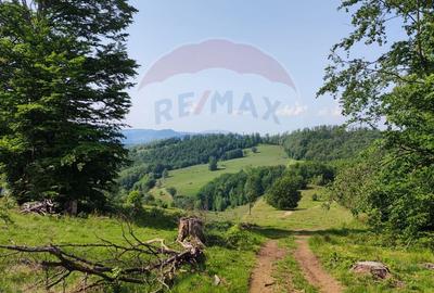 Teren 130000 mp extravilan, faneata si padure, Munteni - Bulz, Negreni - 13