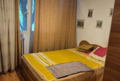 Apartament 2 camere de vanzare Teiul Doamnei Lacul Tei - 5