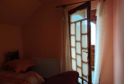 Proprietate de vacanta Valea Oltului - BREZOI - 14