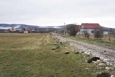 Teren Șieu-Măgheruș – 15 km de Bistrița | Potențial metropolitan - 4