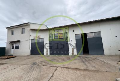 Spațiu industrial, de 280.00 mp, în Cârcea
