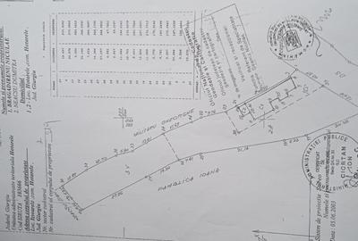 Vânzare Teren Intravilan 1430 mp Sat Izvoarele, Hotarele Giurgiu - 2