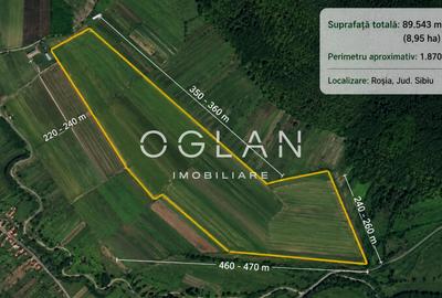Teren agricol extravilan de 89543 mp, în Roșia