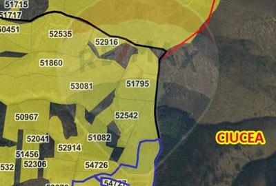 Teren 130000 mp extravilan, faneata si padure, Munteni - Bulz, Negreni - 3