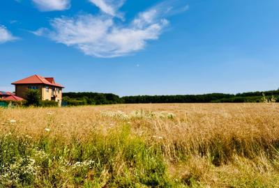 TEREN -INTRAVILLAN-SUPERB-SNAGOV-PADURE-UTILITATI - 5