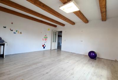 CASA DE VANZARE PODUL OLTULUI CU ACCES PRIVAT - 16