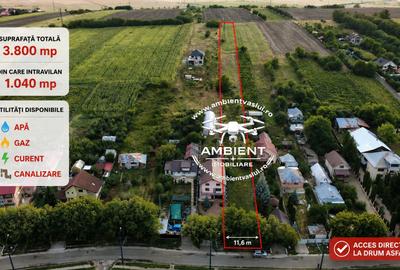 Teren 3.800 mp zona CASTANILOR, ideal pentru locuință, investiție sau extindere - 3