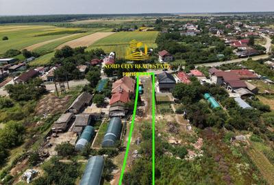 Teren 2.700 mp Ciocănești - Urziceanca | La asfalt - 11