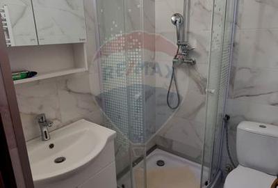 Apartament cu o camera, decomandat, de inchiriat, zona ultracentrala - 5