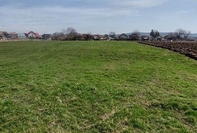 Teren 7000 mp,29euro mp.zona Libertății, Targu Mures, - 4